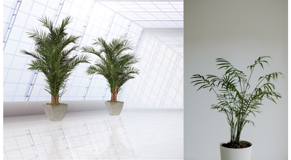 6 store gr�nne indend�rs planter