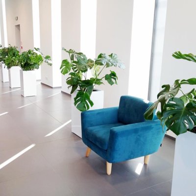 Kontorbeplantning
