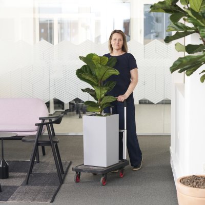 Planteservice
