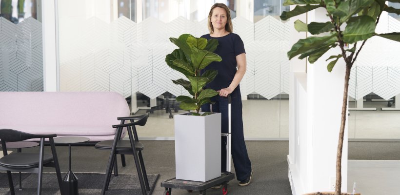 Planteservice