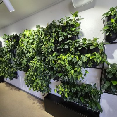 Plantev&aelig;gge