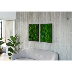 Mosbillede i Pudemos