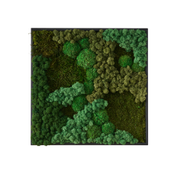 Mosbillede i mosmix 013