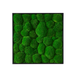 Mosbillede i Pudemos