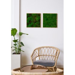 Mosbillede i Pudemos