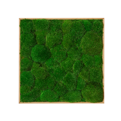 Mosbillede i Pudemos