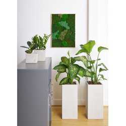 Mosbillede i mosmix 013