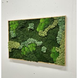 Mosbillede i mosmix 013