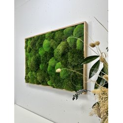 Mosbillede i mosmix 006