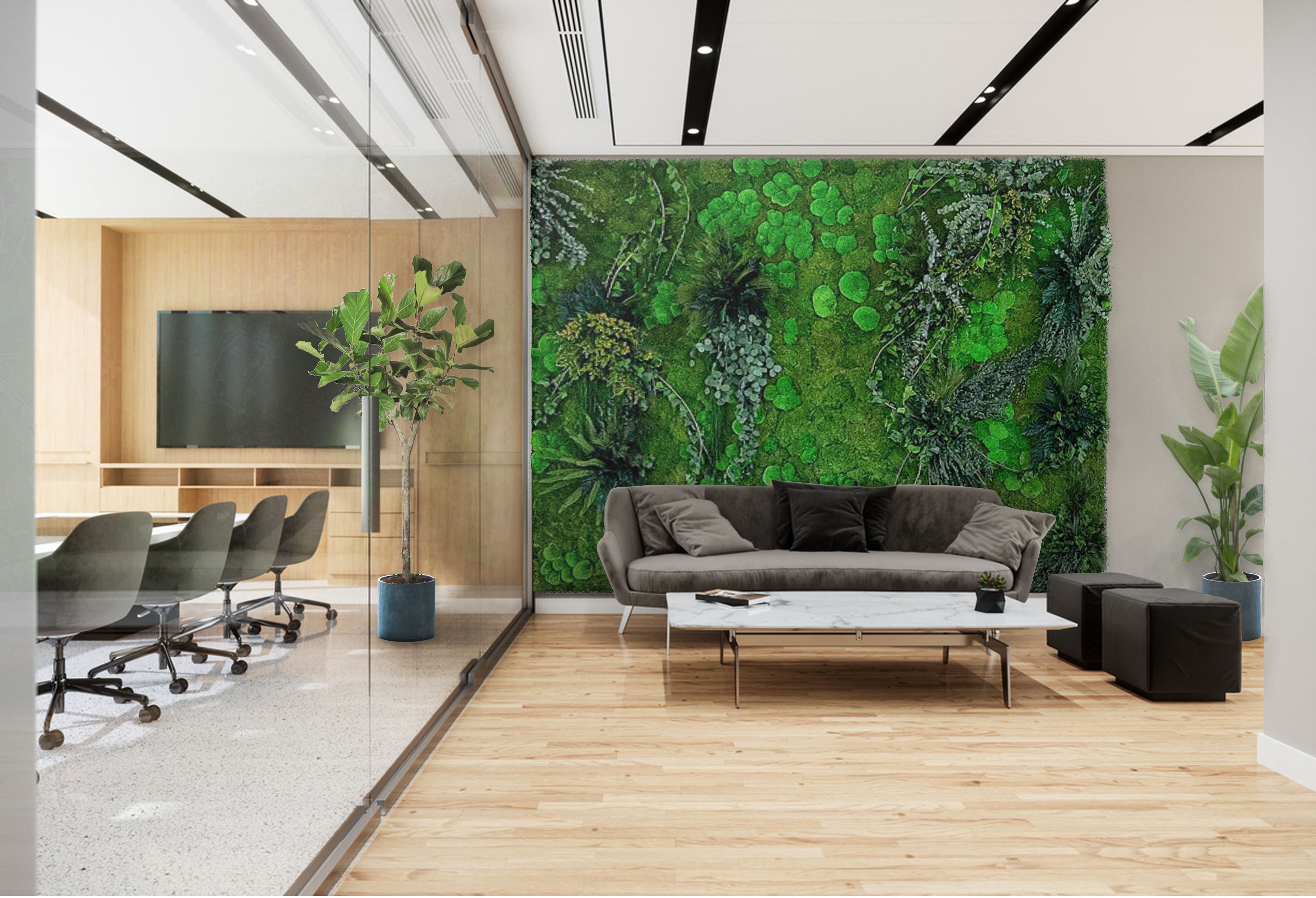 En grøn oase indendørs med preserverede indendørs plantevægge på kontor 