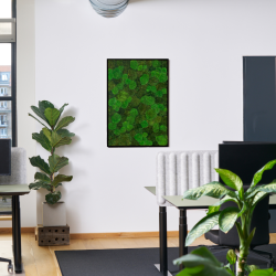 Mosbillede i mosmix 006