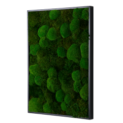 Mosbillede i mosmix 006