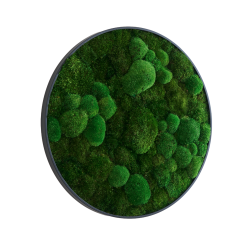 Mosbillede i mosmix 006