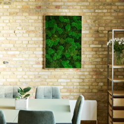 Mosbillede i mosmix 006