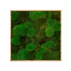 Mosbillede i mosmix 006