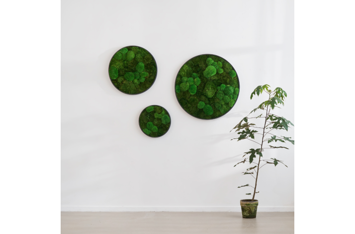 Mosbillede i mosmix 006