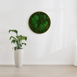 Mosbillede i mosmix 006