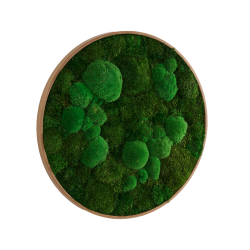 Mosbillede i mosmix 006