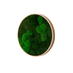 Mosbillede i mosmix 006