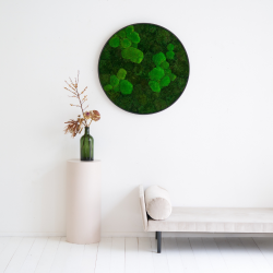 Mosbillede i mosmix 003