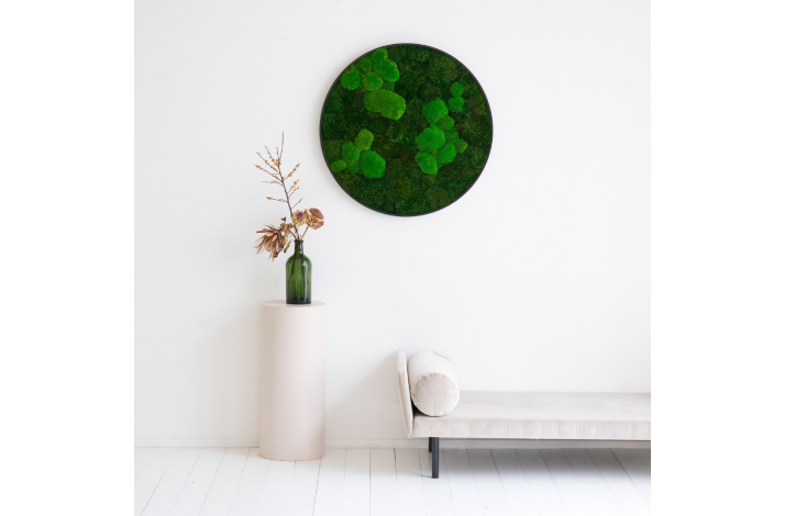 Mosbillede i mosmix 003