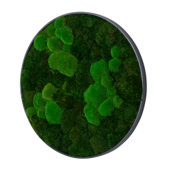 Mosbillede i mosmix 003