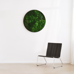 Mosbillede i mosmix 007 