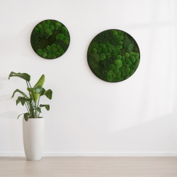 Mosbillede i mosmix 007 