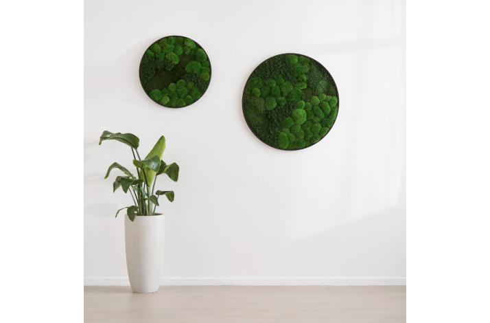 Mosbillede i mosmix 007 