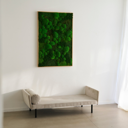 Mosbillede i Mosmix 007 