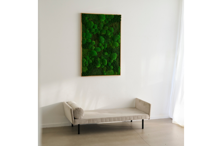 Mosbillede i Mosmix 007 