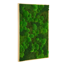 Mosbillede i Mosmix 007 