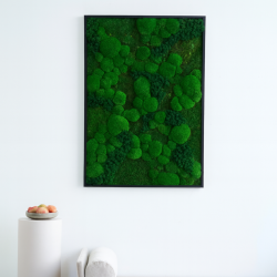 Mosbillede i Mosmix 007 