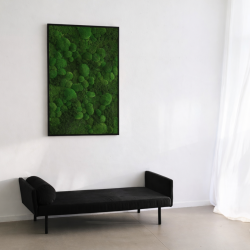 Mosbillede i Mosmix 007 