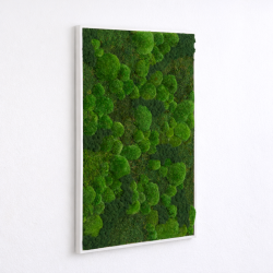 Mosbillede i Mosmix 007 