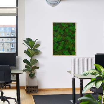 H&aring;ndlavede akustik mosbilleder