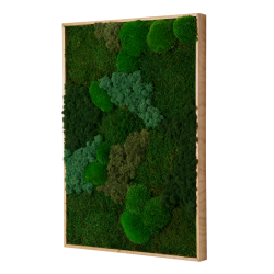 Mosbillede i mosmix 013