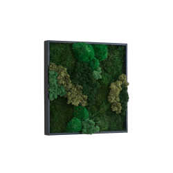 Mosbillede i mosmix 013