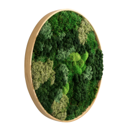 Mosbillede �80 cm i naturlig mosmix &ndash; egetr�sramme