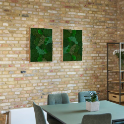 Mosbillede i mosmix 013