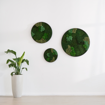 Mosbillede �40 cm i gr�n mosmix &ndash; sort ramme, dekorativ og akustisk l�sning