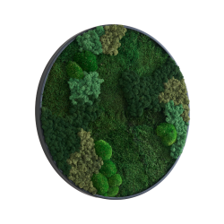 Mosbillede i mosmix 013