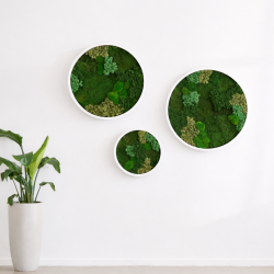 Mosbillede i mosmix 013