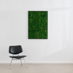 Gr�nt mosbillede med pudemos i sort tr�ramme