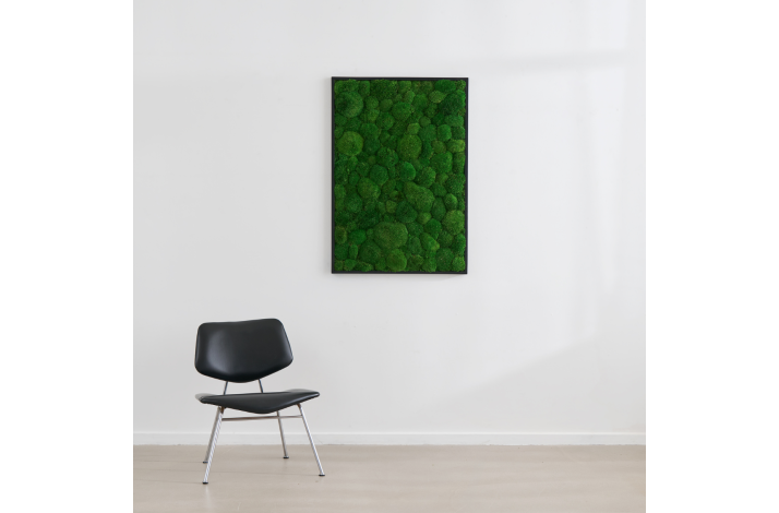 Gr�nt mosbillede med pudemos i sort tr�ramme