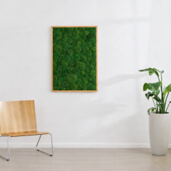 Mosbillede med gr�n pudemos i elegant ramme p� hvid v�g