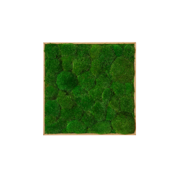 Mosbillede i Pudemos