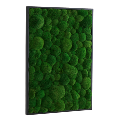 Stort mosbillede 100�70 cm med pudemos i ramme til kontor og bolig