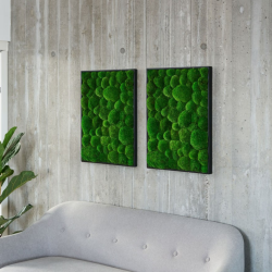 Mosbillede i Pudemos