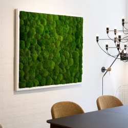 Mosbillede i Pudemos